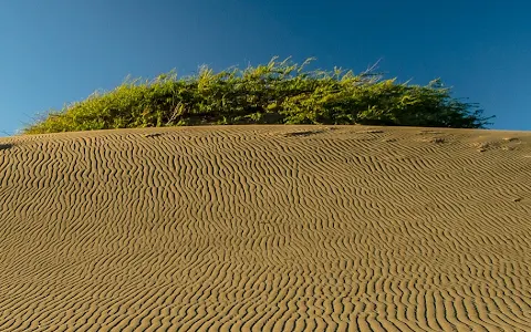 Dunes of Baní image