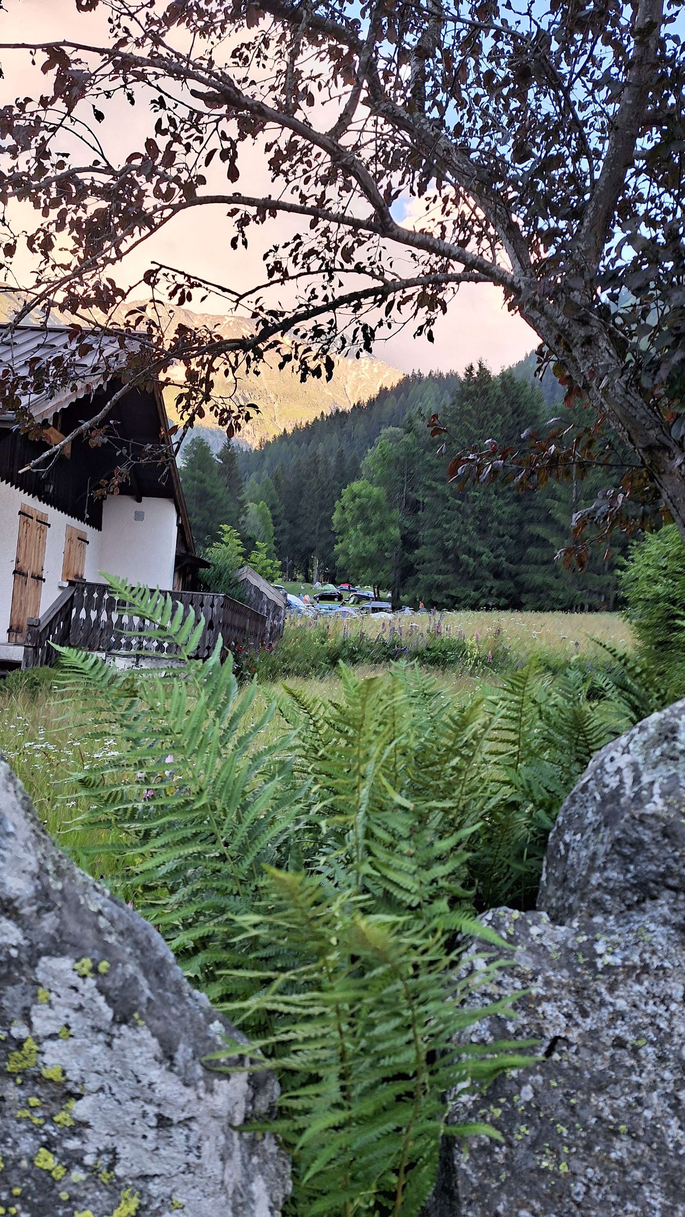 Photo n° 1 de l'avis de Andrei.a fait le 03/07/2023 à 04:18