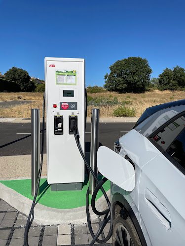 Borne de recharge de véhicules électriques Lidl Charging Station Alès