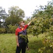 Kāpūtahi Community Orchard