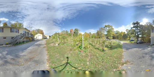 Vineyard «Brimstone Hill Vineyard», reviews and photos, 61 Brimstone Hill Rd, Pine Bush, NY 12566, USA