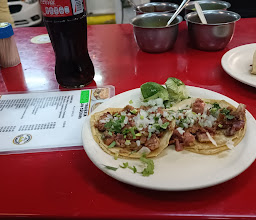 Taquería los güeros de plutarco photo