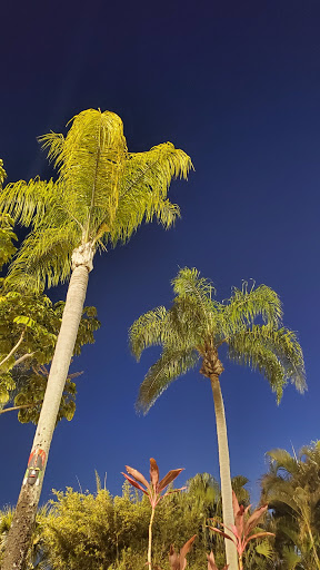 Miniature Golf Course «Congo River Golf», reviews and photos, 20060 US-19, Clearwater, FL 33764, USA