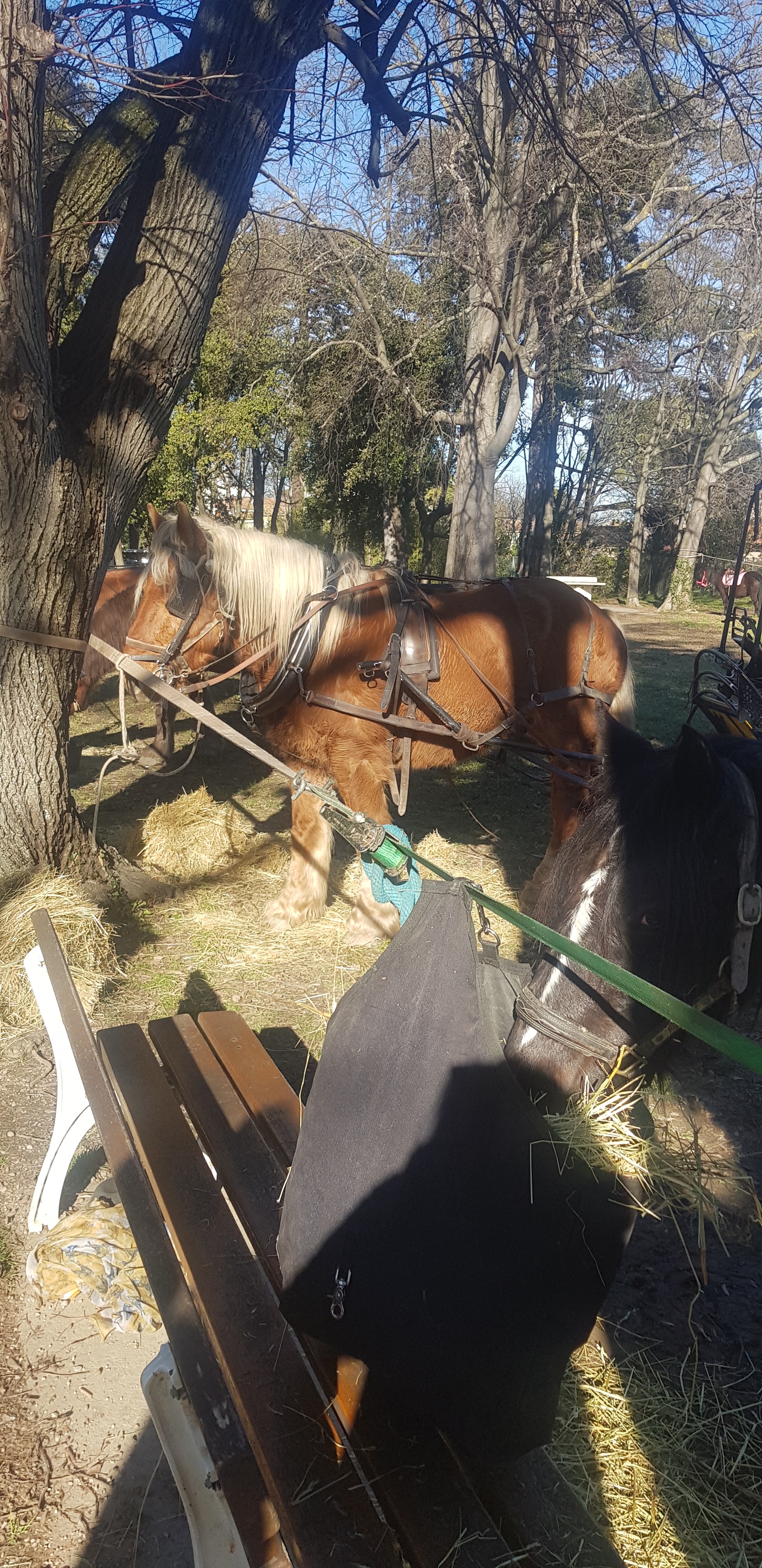 Photo n° 2 de l'avis de Sandrine.a fait le 11/01/2020 à 14:39