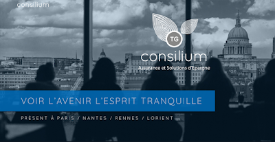 Thibault GUERIZEC - Cabinet TG CONSILIUM à Paris