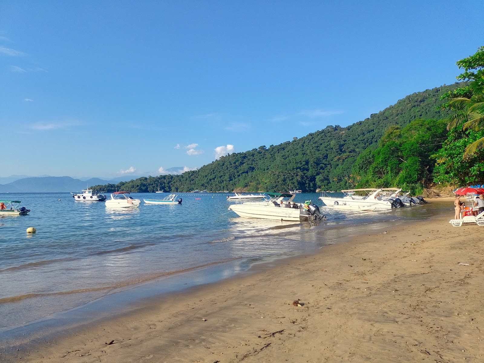 Praia da Crena'in fotoğrafı uçurumlarla desteklenmiş