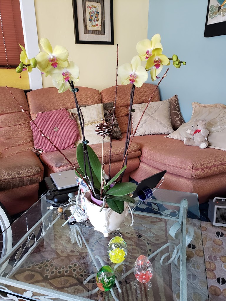 Raymond's Boutique Salon (by appointment only) 92101