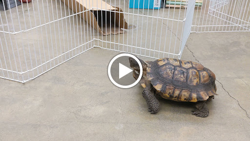 Science Museum «Lawrence Hall of Science», reviews and photos, 1 Centennial Dr, Berkeley, CA 94720, USA