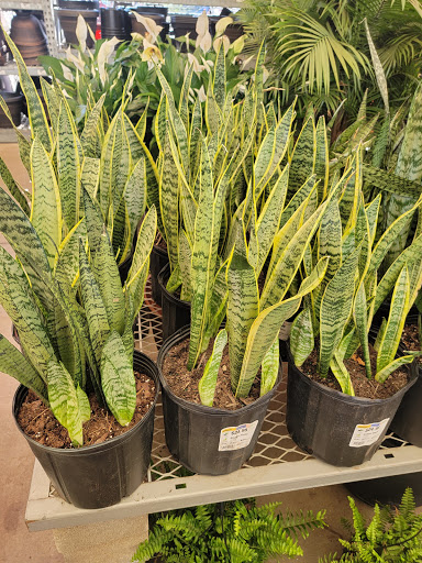 Home Improvement Store «The Home Depot», reviews and photos, 11468 Grissom Ln, Dallas, TX 75229, USA