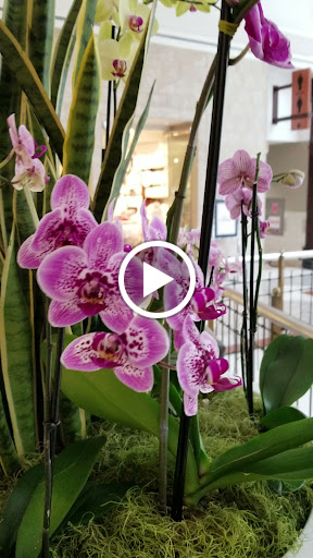 Shopping Mall «Tysons Galleria», reviews and photos, 2001 International Dr, McLean, VA 22102, USA