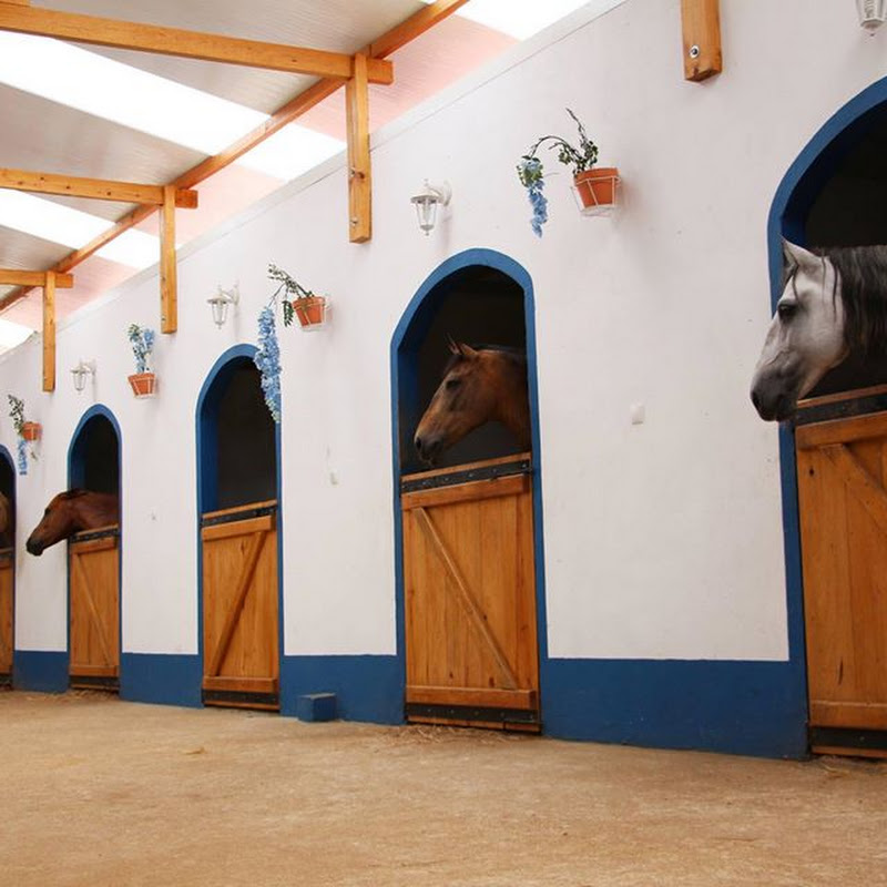 Equestrian center of Sobreda