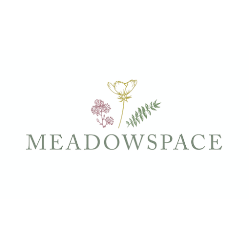 Comments and reviews of Meadowspace