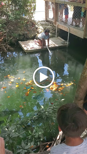 Aquarium «Florida Keys Aquarium Encounters», reviews and photos, 11710 Overseas Hwy, Marathon, FL 33050, USA