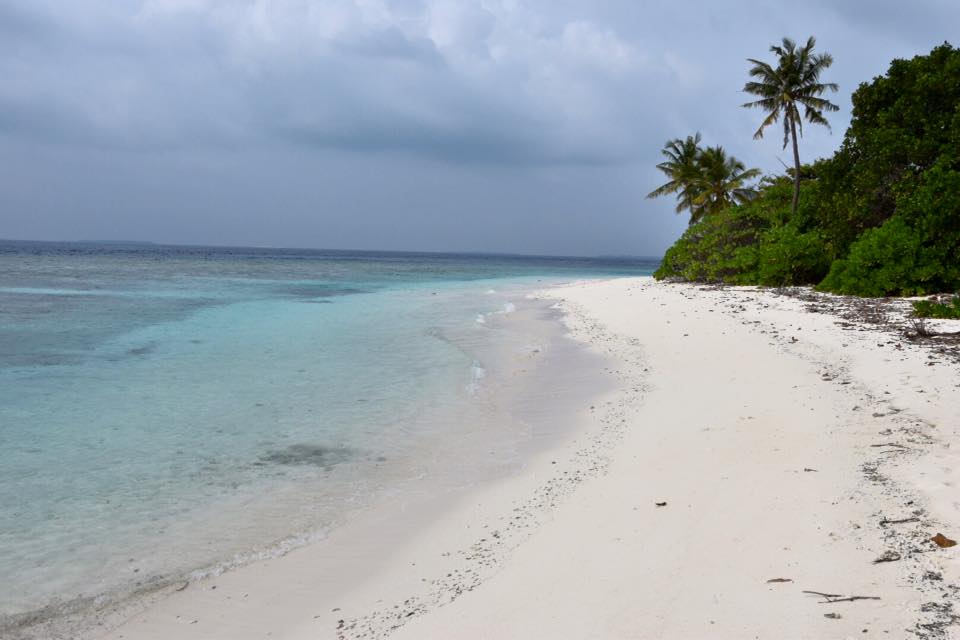 Photo de Guest Beach avec un rivage spacieux