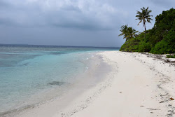 Photo de Guest Beach avec un rivage spacieux