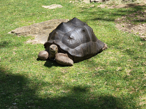 Zoo «Nashville Zoo at Grassmere», reviews and photos, 3777 Nolensville Pike, Nashville, TN 37211, USA