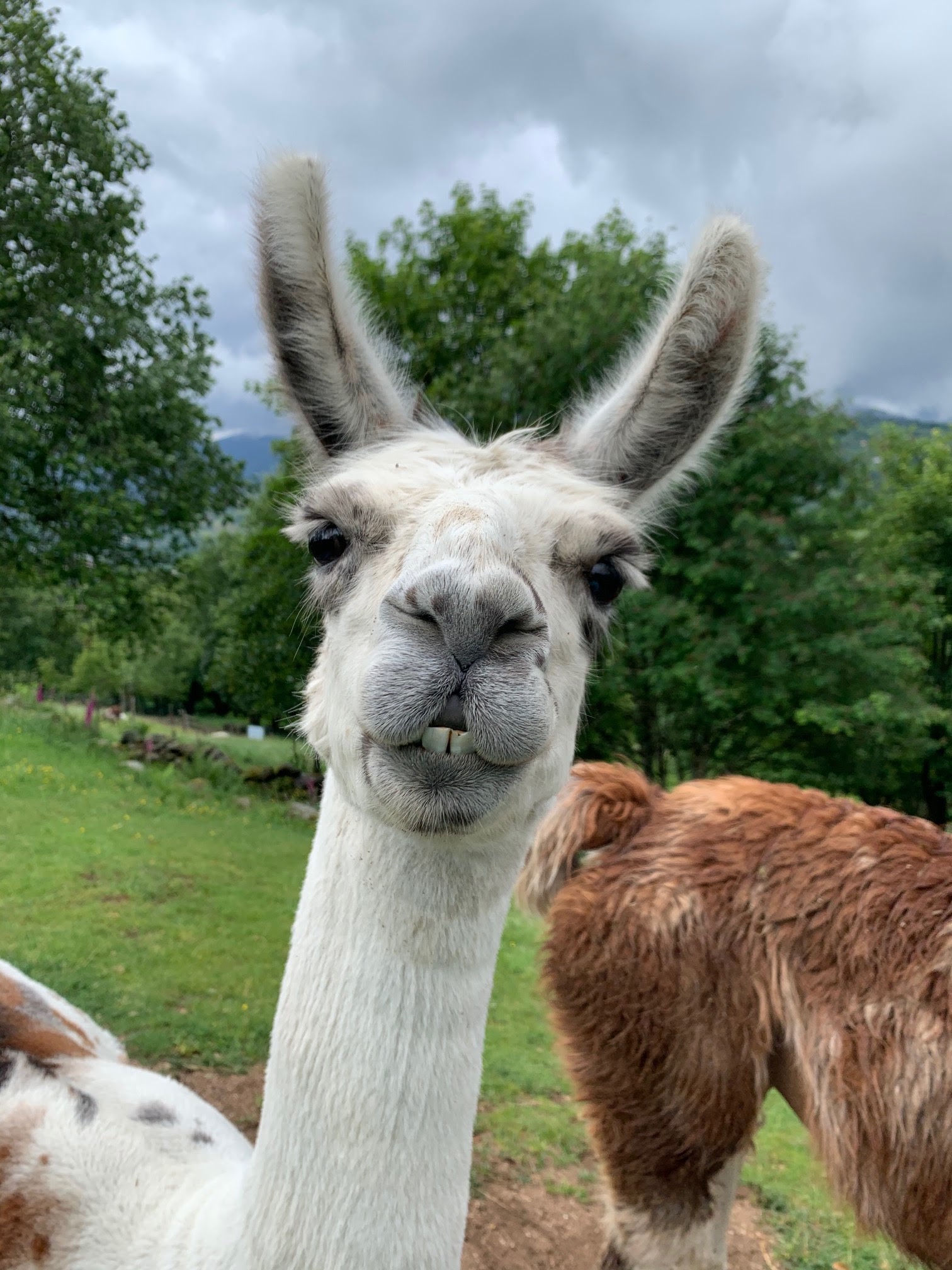 Photo n° 1 de l'avis de Sandrine.b fait le 16/06/2020 à 14:49