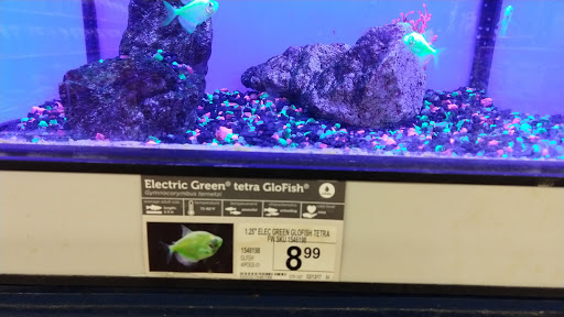 Pet Supply Store «Petco Animal Supplies», reviews and photos, 6020 Crawfordsville Rd, Speedway, IN 46224, USA