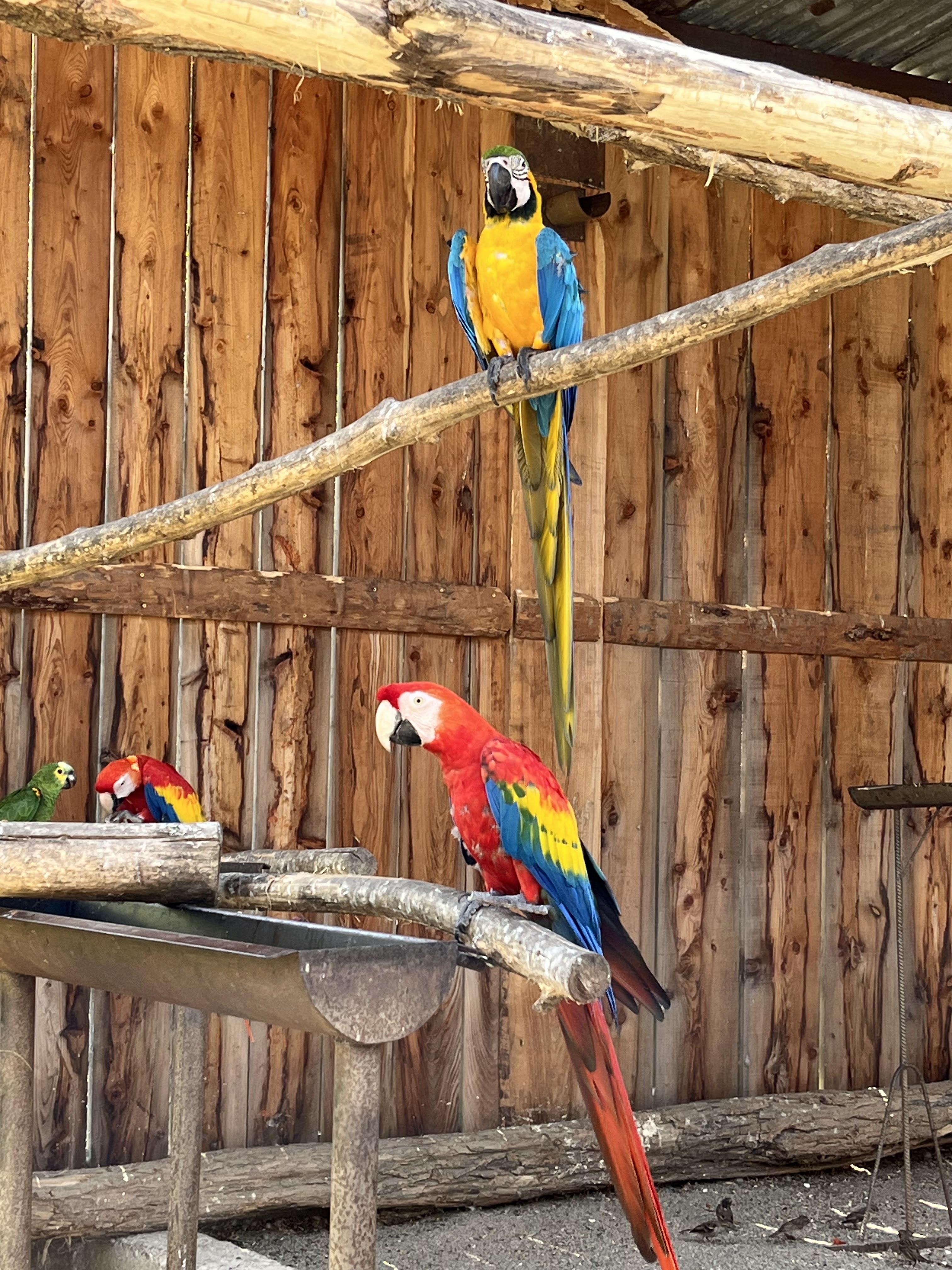 Photo n° 5 de l'avis de Gianni.O fait le 27/08/2023 à 17:38