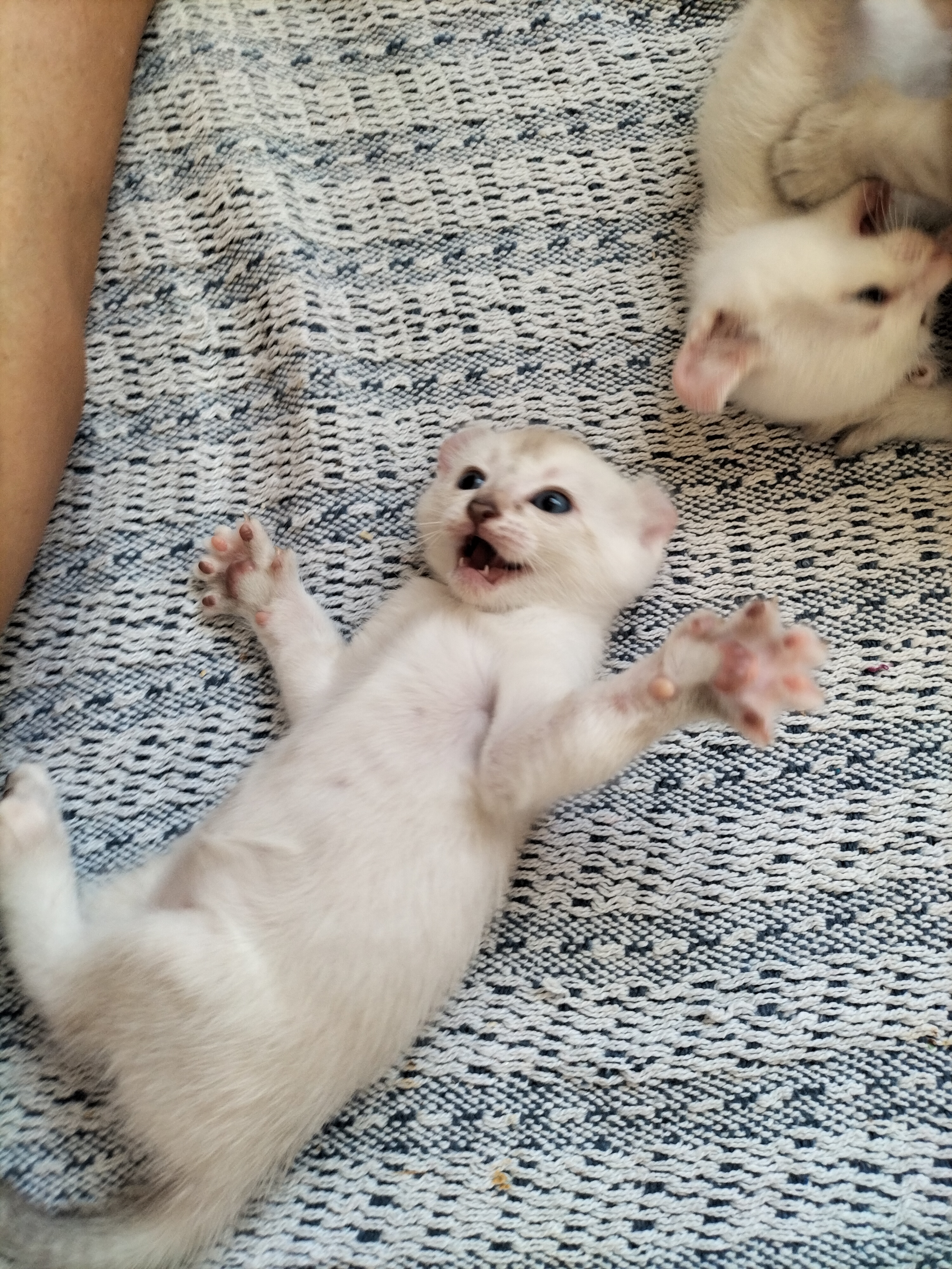 Photo n° 3 de l'avis de Nini.a fait le 29/07/2022 à 15:53