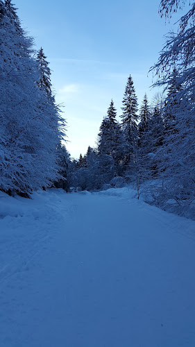 Gali Ali à Morzine