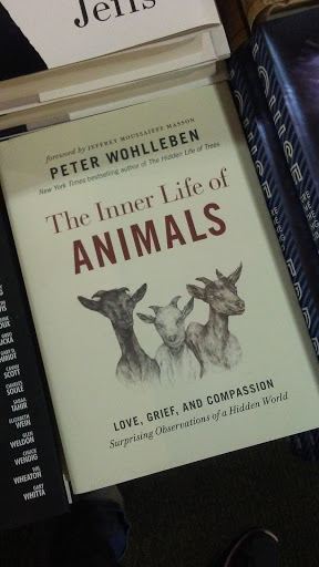 Book Store «Barnes & Noble», reviews and photos, 626 106th Ave NE, Bellevue, WA 98004, USA