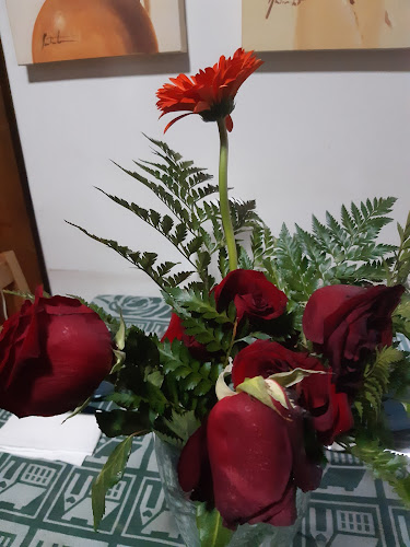 Avaliações doBrussiflor – Comércio de Flores e Plantas Unipessoal, Lda. em Loures - Floricultura
