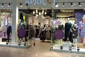 Apricot Clothing - Derby image