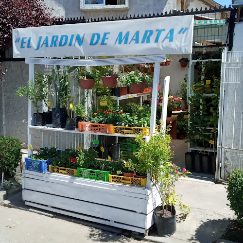 Jardin De Marta (Venta De Arboles, Plantas, Flores Y Articulos De Jardin ) - Maipú
