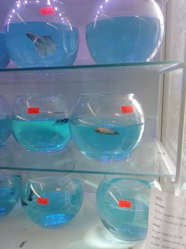 Tropical Fish Store «Ironbound Pet Shop», reviews and photos, 246 Ferry St # 5, Newark, NJ 07105, USA