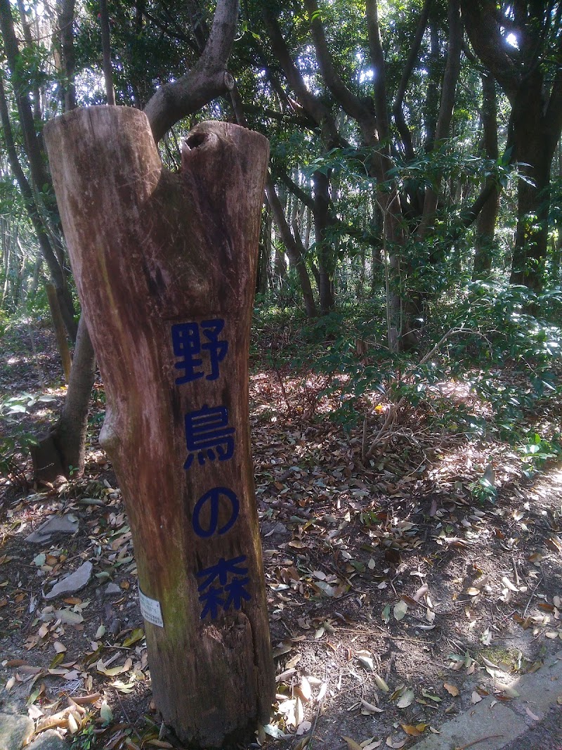 野鳥の森