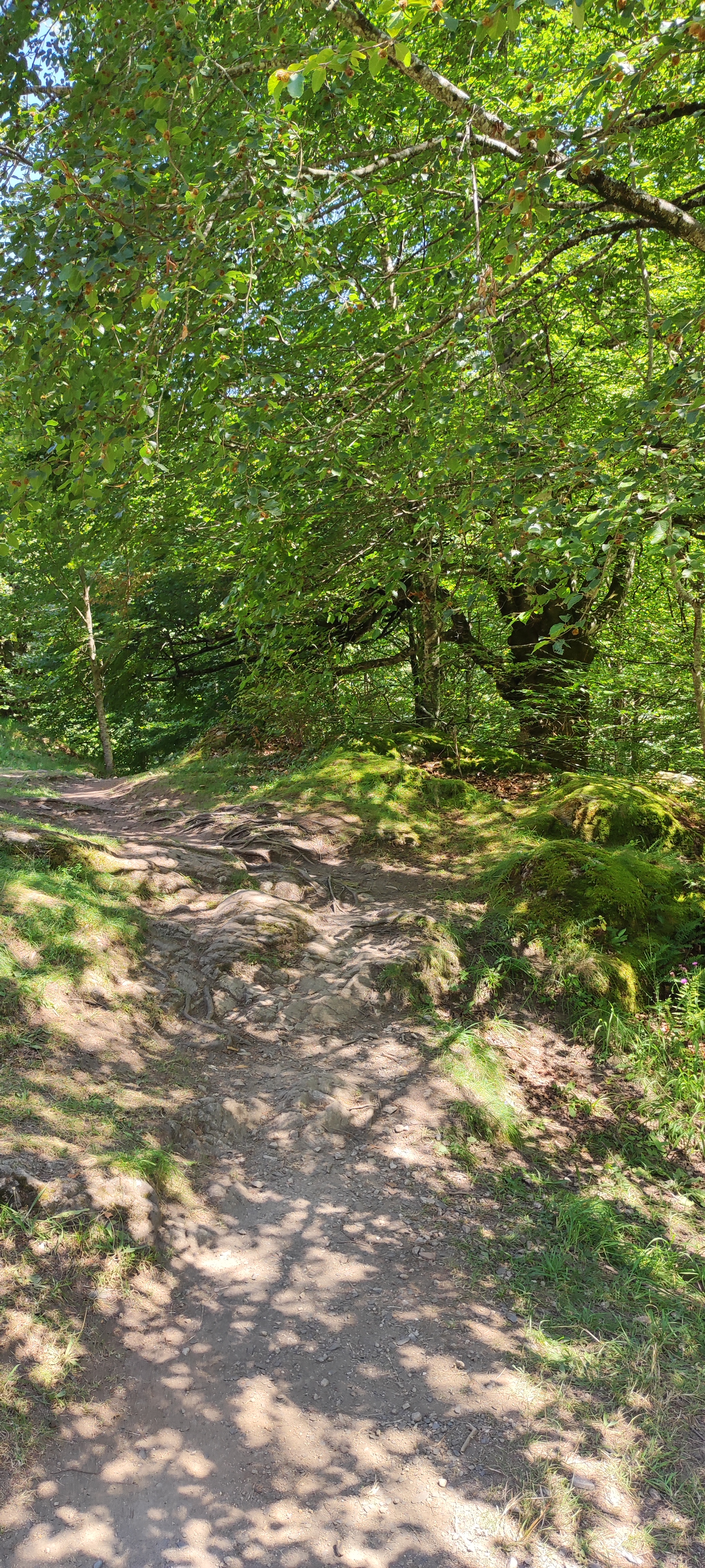 Photo n° 6 de l'avis de Fred-de-.a fait le 09/09/2023 à 05:20