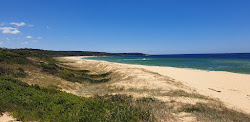 Zdjęcie Short Point Beach z powierzchnią niebieska czysta woda