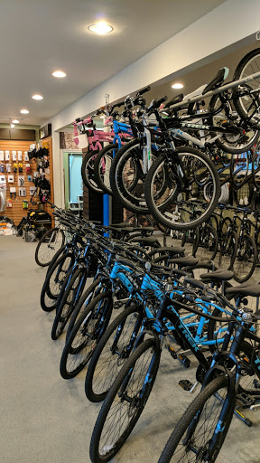 Bicycle Store «Joyful Cycle & Fitness», reviews and photos, 1961 NJ-27, Edison, NJ 08817, USA