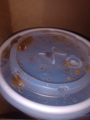 Fast Food Restaurant «Sonic Drive-In», reviews and photos, 2917 KY-1629, Corbin, KY 40701, USA