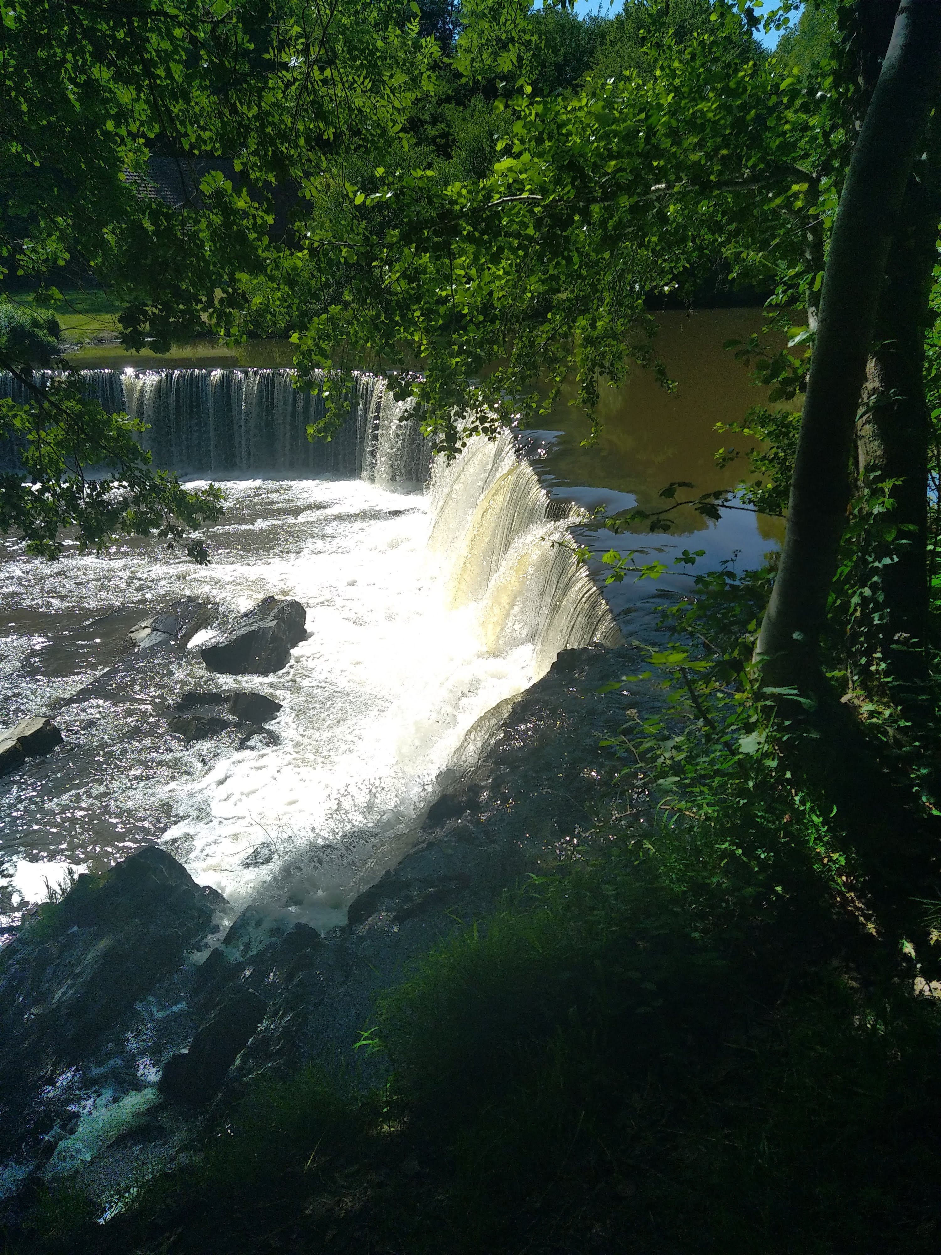 Photo n° 1 de l'avis de Olivier.e fait le 12/06/2022 à 15:40