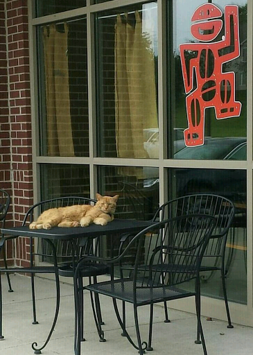 Coffee Shop «Timbuktuu Coffee Bar», reviews and photos, 4825 Ep True Pkwy, West Des Moines, IA 50265, USA