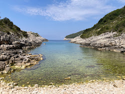 Avlaki Beach'in fotoğrafı vahşi alan