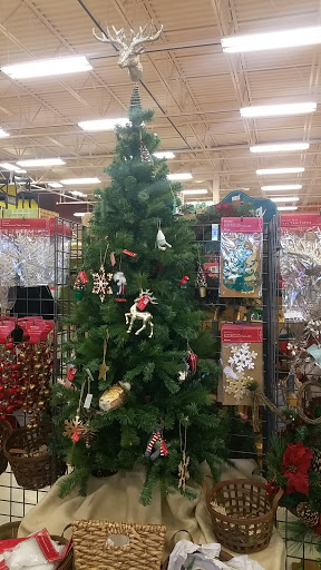 Furniture Store «Cost Plus World Market», reviews and photos, 1655 Olentangy River Rd, Columbus, OH 43212, USA