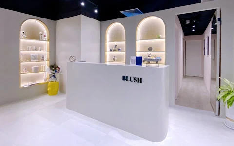 Blush Official 100AM image
