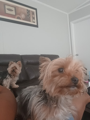 Pet Supply Store «EarthWise Pet Supply - Richardson», reviews and photos, 1310 W Campbell Rd #128, Richardson, TX 75080, USA