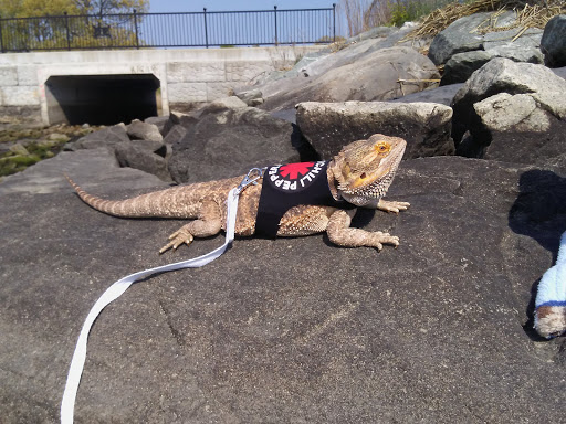 Pet Store «Critter Hut Aquarium & Pets», reviews and photos, 6637 Post Rd, North Kingstown, RI 02852, USA