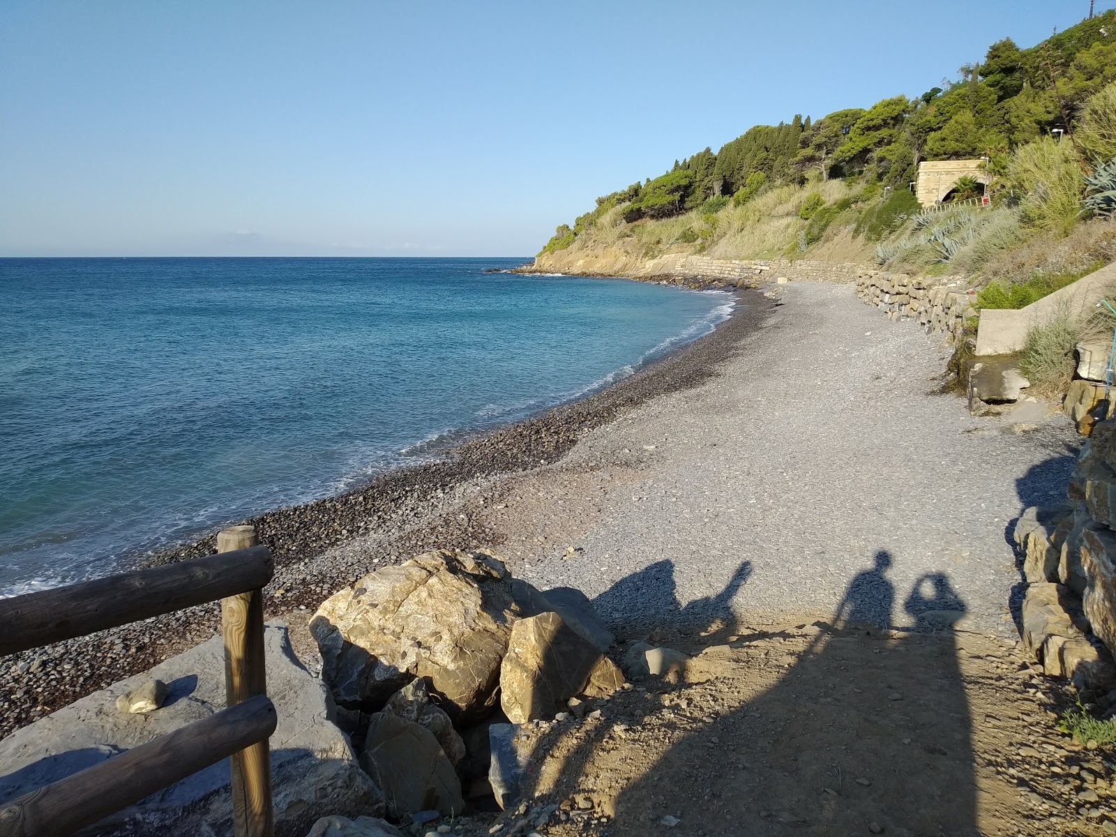 Arene dog beach photo #8