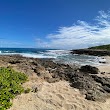 Hawaiian Monk Seal Beach
