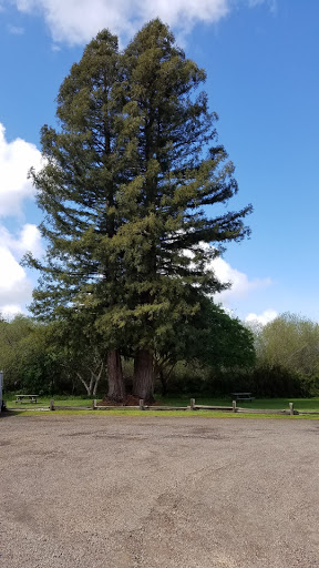 Butcher Shop «Marin Sun Farms», reviews and photos, 10905 Shoreline Hwy, Point Reyes Station, CA 94956, USA