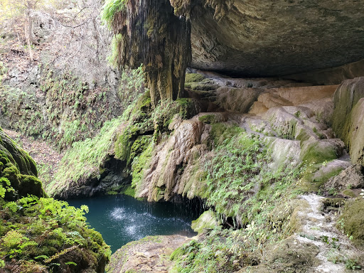 Non-Profit Organization «Westcave Outdoor Discovery Center», reviews and photos, 24814 Hamilton Pool Rd, Round Mountain, TX 78663, USA
