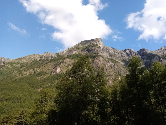 Ecoaldea La Montaña - Curarrehue