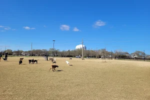 North Lakes Dog Park image