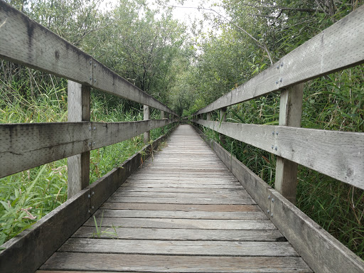 Concert Hall «Marymoor Park Concerts», reviews and photos, 6046 West Lake Sammamish Pkwy NE, Redmond, WA 98052, USA