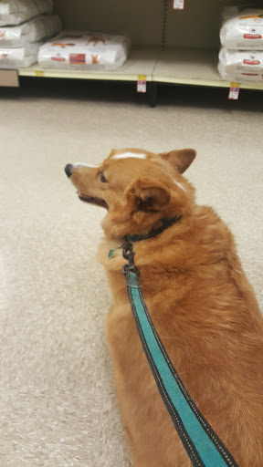 Pet Supply Store «PetSmart», reviews and photos, 2 Brick Plaza, Brick, NJ 08723, USA
